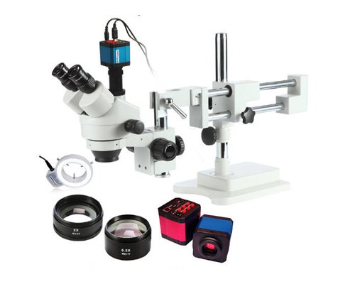 microscope-main